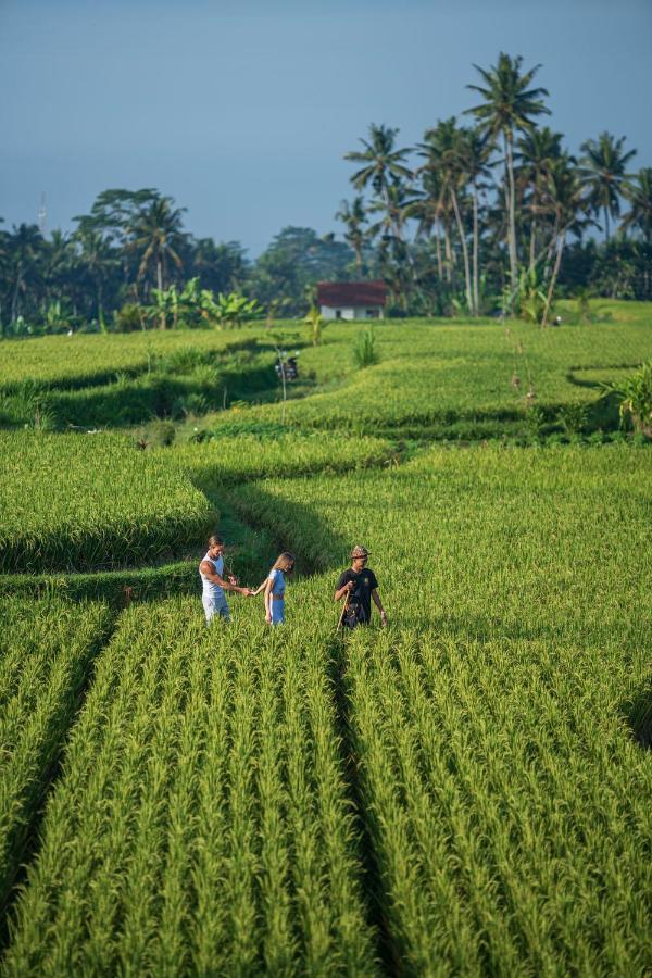 Resort The Sun Of Granary And Ubud