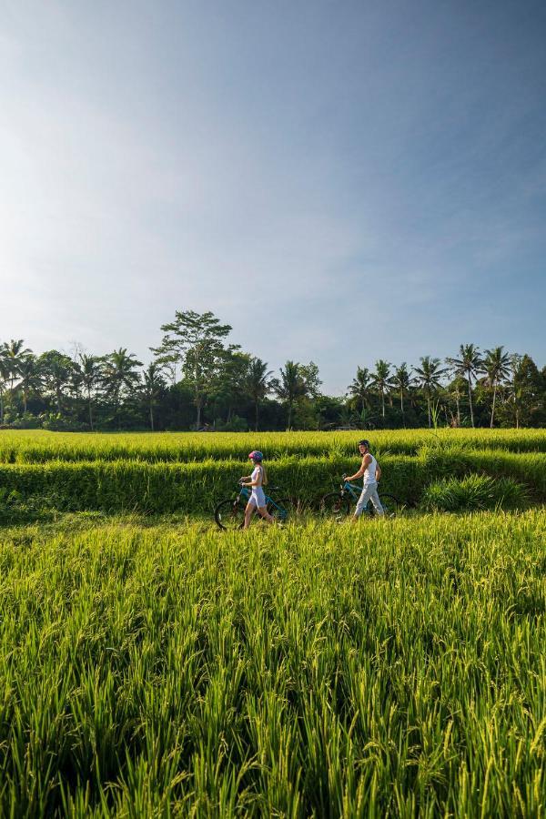 Resort The Sun Of Granary And Ubud