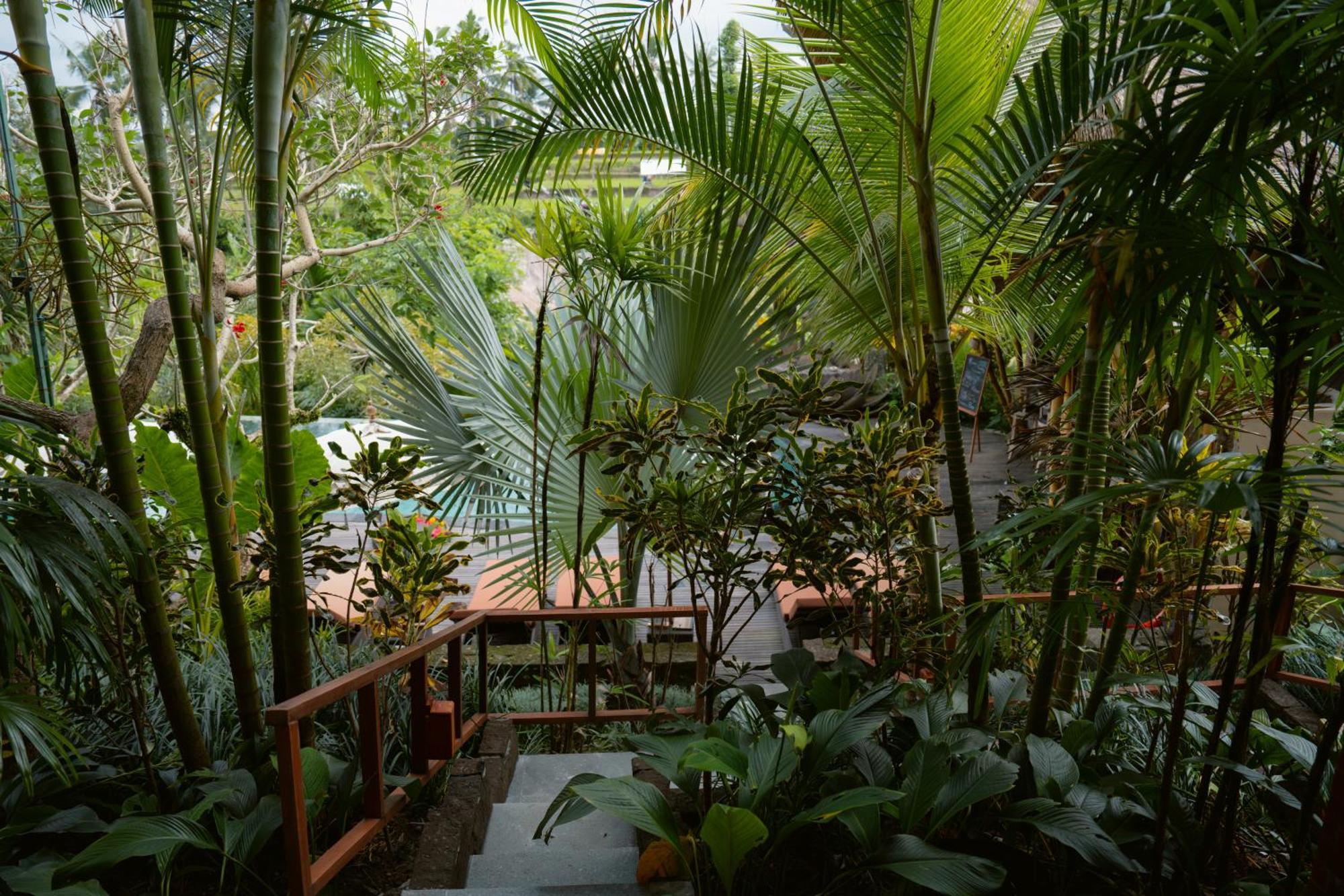 Resort The Sun Of Granary And Ubud